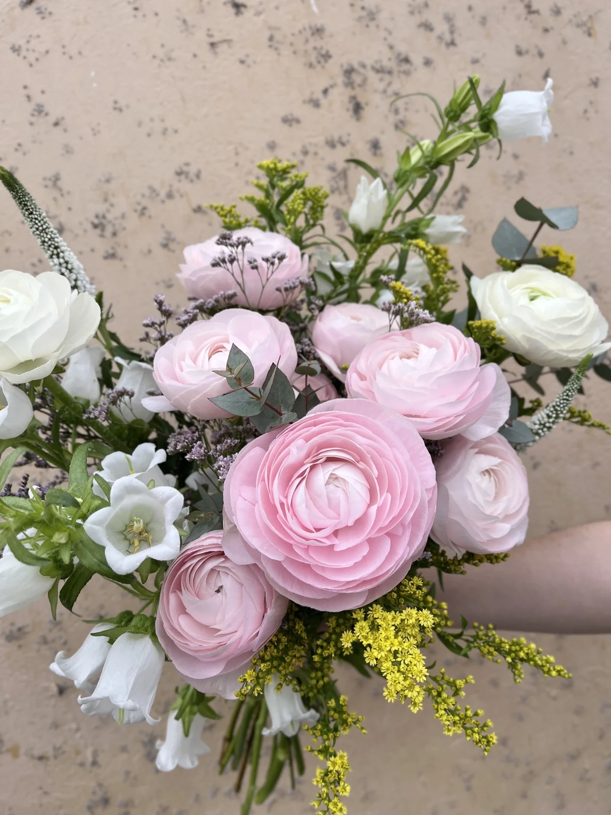 Something beautiful! MAIN PHOTO Hanoi jaspers or lovely seasonal flowers