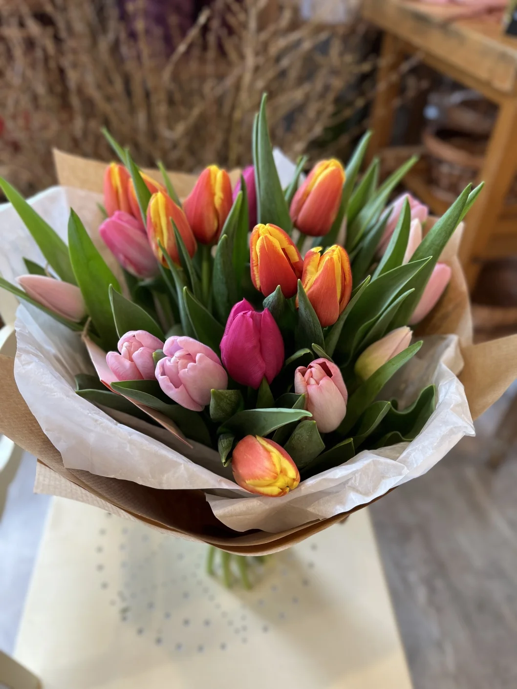 kolorowe tulipany kolorowe tulipany